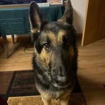 Barb Roberts - Facebook
