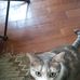 Barb Robertson - Facebook