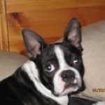 Barb Robertson - @barbisfantastic - Instagram
