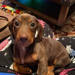 Barb Rogers - @barb.rogers - Instagram