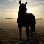 Barb Rogers - @barbrog79 - Instagram