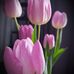 Barbara Rooney - Facebook