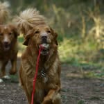 Barbro Wenzel - @barbrowenzel - Instagram
