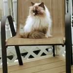 Barb Roy Goss - @barbroygoss - Instagram