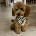 @barbr_oy - Instagram