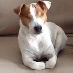 Barbro Stefansson - @barbroyste - Instagram
