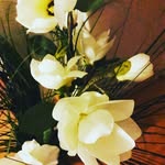 Barbro Ylten - @barbro.y - Instagram
