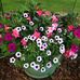 Barb Rutledge - Facebook