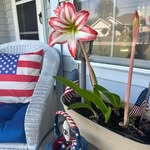 Barb Morey Sage - @barbmoreysage - Instagram