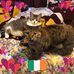 Barb Salisbury - Facebook