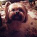 Barb Salisbury - Facebook