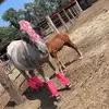 Barbie - @savingbarbie - TikTok