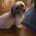 Barb Schaefer - Facebook