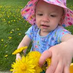 Barb Schaefer - @barbara_schaefer1 - Instagram