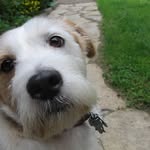 Barb Schaefer - @schaefer7439 - Instagram