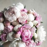 Barb Schafer - @schafer.barb - Instagram