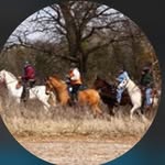 Barb Scherer - @scherebarb_ - Instagram