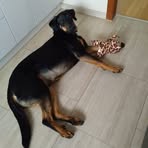 Barbara Scherer - Facebook