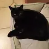 Barbara Scherer - @barbara.scherer7 - TikTok