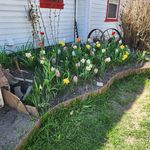 Barb Kevin Schmidt - @barbschmidt3650 - Instagram