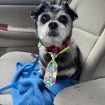 Barb Schmidt - @barb.schmidt.14 - Instagram
