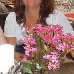 Barb Schmidt - @baschmidt1 - Instagram