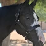 Barb Schmidt - @barbschmidt2166 - Instagram