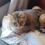 Barb Schmidt Hunkele - @barbschmidthunkele - Instagram