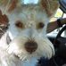 Barb Schoenig - Facebook