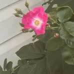 Barb J Jones - Facebook