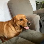 Barb Schuler - @bx12111211 - Instagram