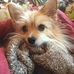 Barb Schuler - Facebook