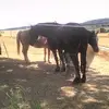 barbaraschuler229 - @barbaraschuler229 - TikTok