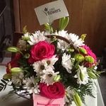 Barb Schuster - @baschu65 - Instagram