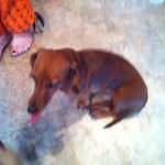 Barb schuster - @bschuster4 - Instagram