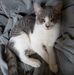 Barbara Schuster - Facebook