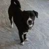 barbaraschuster3 - @barbaraschuster3 - TikTok