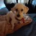 Barb Scott - Facebook