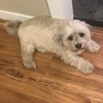 Barb Scott - @barbscott55 - Instagram
