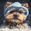 Barb Scott - @crockpot_top2 - TikTok