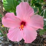 Barb Narraway Sears - @narrawaysears - Instagram