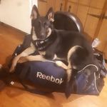Barb Sears - @barb.sears.357 - Instagram