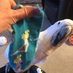 Barb Sears - @barb_sears - Instagram