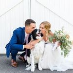 Barb Sears - @searsbarb - Instagram