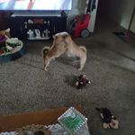 Barb Sears - @barb_sears_102257 - Instagram