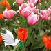 Barb Shafer - Facebook