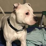 Barb Shankel - @barbshankel - Instagram