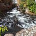 Barb Shanks - Facebook