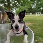 Barb Sharp - Facebook