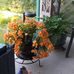 Barb Shaw - Facebook